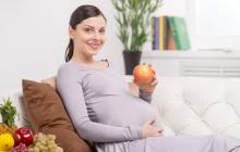 Fotografija fetusa, fotografija abdomena, ultrazvuk i video o razvoju djeteta 27 28 tjedana trudnoće od začeća