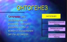 Individuálny vývoj organizmov (ontogenéza)